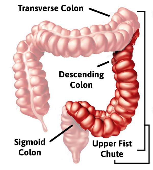 Navigable Areas of Fist Chute